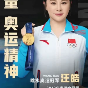体育明星跳水冠军汪皓代言价格-出场费