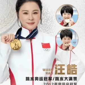 汪皓跳水奥运冠军翻包授权-好物推荐-祝福语视频录制
